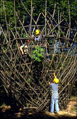 Untitled, Giuilano Mauri, 1999 Stour Valley Art Project, King�s Wood, Kent Photo: Sandra Drew