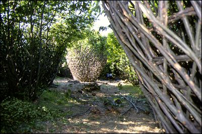 Untitled (two from group three), Giuliano Mauri, 1999 Stour Valley Art Project, King�s Wood, Kent Photo: Sandra Drew