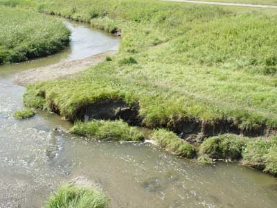 Bank erosion on Nose Creek, Laycock Park, Calgary, Canada. Photo: Westhoff Engineering Resources, Inc.