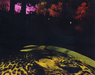 Release, Heather Steele, 2000.  After Dark, Birmingham.
