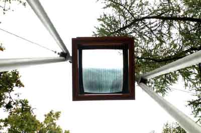 At a Glance, Nayan Kulkarni, 2001.  Lickey Hills Country Park, Birmingham.