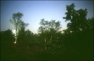 Frensham Common, Ian Whittlesea, 1996 Surrey Hills Landscape Assessment &copy; Countryside Agency/Ian Whittlesea.
