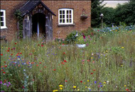 Surrey Hills Landscape Assessment