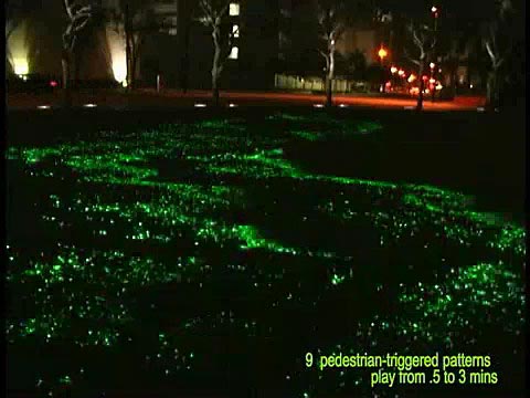 Broward Lighting Project
