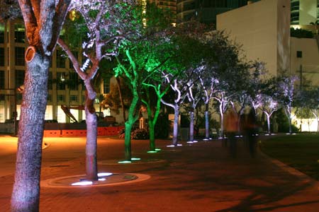 Luminous Conjunctions, Dan Corson, 2007 Huzienga Plaza, Broward County, Florida, USA.  Impact of LED lighting among the trees around the periphery of the lawn.  Photo &copy; Dan Corson.
