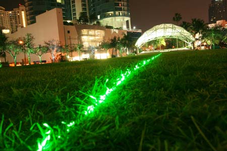 Emerald Laser Lawn, Dan Corson, 2007 Huzienga Plaza, Broward County, Florida, USA. Green lasers at low level playing out patterns across the lawn. Photo © Dan Corson.