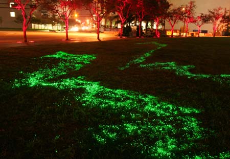 Emerald Laser Lawn, Dan Corson, 2007 Huzienga Plaza, Broward County, Florida, USA. Green lasers at low level playing out patterns across the lawn. Photo &copy; Dan Corson.