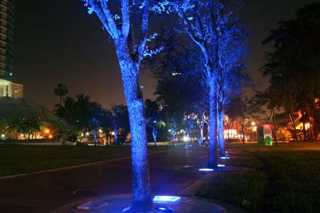 Luminous Conjunctions, Dan Corson, 2007 Huzienga Plaza, Broward County, Florida, USA. Impact of LED lighting among the trees around the periphery of the lawn, showing lighting fade through colour programming. Photo &copy; Dan Corson.