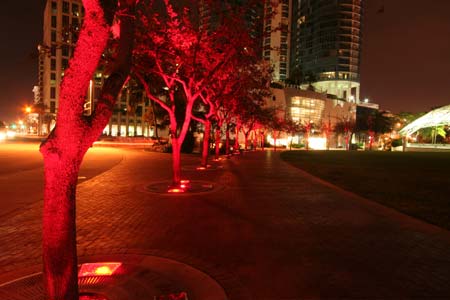 Luminous Conjunctions, Dan Corson, 2007 Huzienga Plaza, Broward County, Florida, USA. Impact of LED lighting among the trees around the periphery of the lawn, showing lighting fade through colour programming. Photo &copy; Dan Corson.