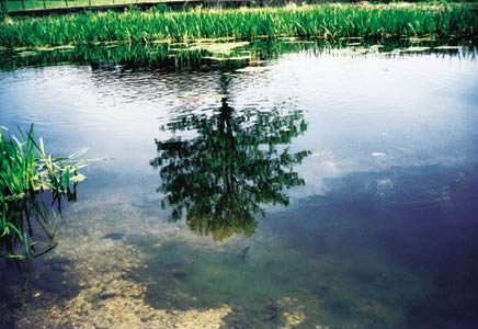 From ’The Holy Brook (To The Venice of South Central England)’, a musical interlude for singers, French horn, and assorted percussion by Simon Rackham and Melanie Pappenheim, Reading Water Fest, 21 June 2003, Abbey Gardens, Reading. Photograph by Simon Rackham.