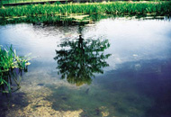 From ’The Holy Brook (To The Venice of South Central England)’, a musical interlude for singers, French horn, and assorted percussion by Simon Rackham and Melanie Pappenheim, Reading Water Fest, 21 June 2003, Abbey Gardens, Reading. Photograph by Simon Rackham.