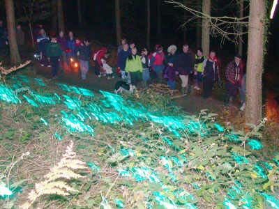 Lasers, Jim Webb, 2001, LightShift, Forest of Dean. Photo: Jim Webb