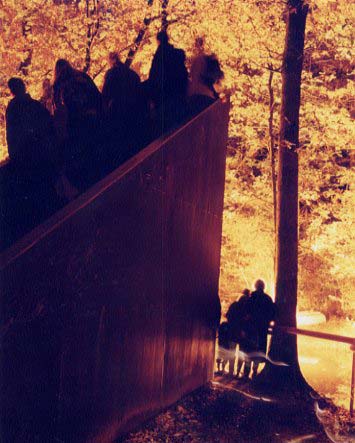 Viewing Pyrophones, Blissbody, 2001, LightShift, Forest of Dean.  Photo: Martin Avery &copy; FDST.