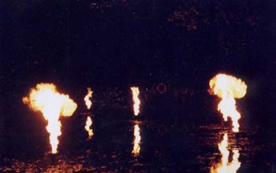 Pyrophones, Blissbody, 2001, LightShift, Forest of Dean.  Photo: Martin Avery &copy; FDST.
