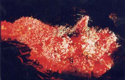 Villi, Robin Blackledge 2001, LightShift, Forest of Dean.  Photo: Martin Avery &copy; FDST.
