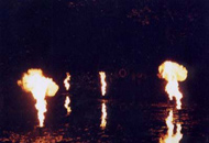 Pyrophones, Blissbody, 2001, LightShift, Forest of Dean. Photo: Martin Avery © FDST.