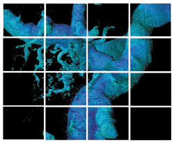 Concept for LCD Wall for new medical library. Artist: Robin Blackledge.