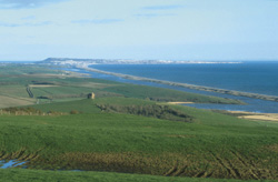 Chesil from Abbotsbury.Photo: Richard Edmonds.