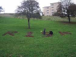 Young people, risk, and a green space.Photo: J. Murray.