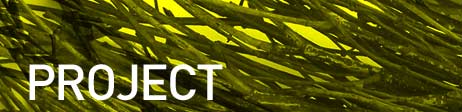 Graphic: Section Artwork Image