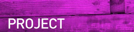 Graphic: Section Artwork Image