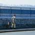 Link to larger image: Painted metal railings by Gordon Young with Why Not Associates, 1999.Waterfront Walkway, Plymouth.Photo: Rocco Redondo.