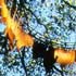 Hanging Fire, metal sculpture by Cornelia Parker, 1988.Forest of Dean Sculpture Trail, Cinderford, Gloucestershire.