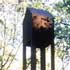 House, sculpture by Miles Davies, 1998.Forest of Dean Sculpture Trail, Cinderford, Gloucestershire.