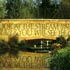 Link to larger image: Lettercutting into brick bridge by Richard Kindersley, 1994.Bishop Fox&Aacute;s Community School, Taunton, Somerset.Photo: Eileen Adams.
