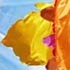 Flags by Angus Watts.Eden Project. Link to larger image: Flags by Angus Watts.Eden Project.