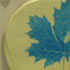 Link to larger image: Tiles in the creech at Parklands Leisure Centre, from a community project lead by Mandy Mills.
