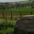 Linear Orchard by Sustrans; Date of Commission: 2005/2006; Photographer: Katy Hallett