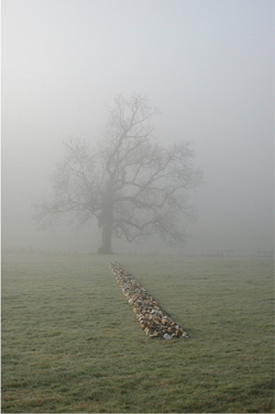 Richard Long, Tame Buzzard Line, 2001, Roche Court Sculpture Park.Photo credit: New Art Centre, Roche Court