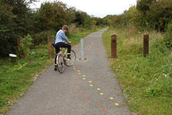 Paw Prints by Nicola Jones, Watger Railway National Cycle Network Route 1 - Between Bardney and Woodhall Spa.Photographer: Sustrans.