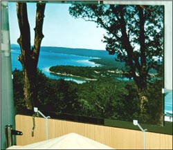 Nature picture that reduced anxiety and pain in heart surgery patients (Ulrich, Lunden & Eltinge, 1992)