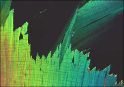 Abstract picture that increased anxiety in heart surgery patients (Ulrich, Lunden & Eltinge, 1992)