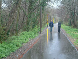 Waymarkers by artist Kirsty Waterworth with students at Braunton Community College, 2004. Braunton Cycleway,Art in the Landscape, North Devon. Photo: Lisa Harty.