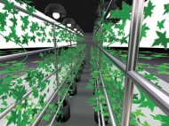 Concept image for ARK: Road Vines. Photo: John Newling