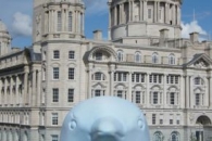 Go Penguins! Liverpool, 2009.