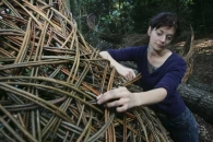 Laura Ellen Bacon. Commission for Slow Art Trail, Chrysalis Arts