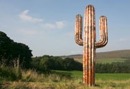 Cactus, Andy Plant. Commission for Slow Art Trail, Chrysalis Arts