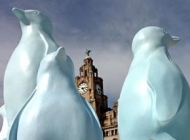 Go Penguins! Liverpool, 2009.