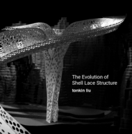 The Evolution of Shell Lace Structure