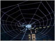 Web of Light, Liverpool. Al Weiwei with Arup Lighting and J&J Carter. Photo: J&J Carter