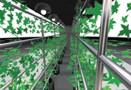 Concept image for ARK: Road Vines. Photo: John Newling