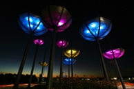 Float, intersection at The Ponds, by Susan Milne and Greg Stonehouse. Photo © The Landcom Public Art Guidelines, Landcom 2008